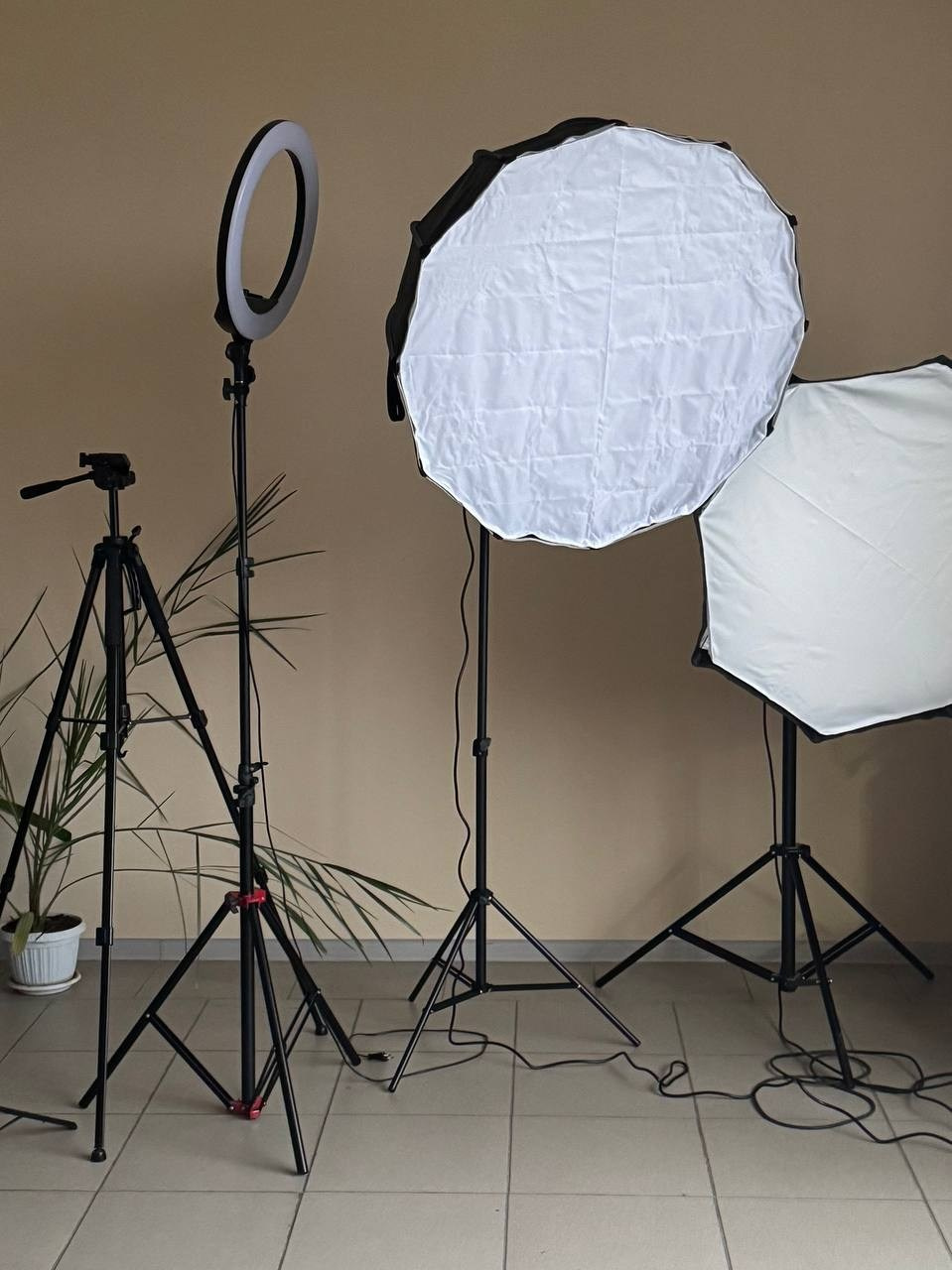 ФОТОСТУДИЯ. Фотограф НатаФото (Наталья Яковенко) Дмитров Москва Питер