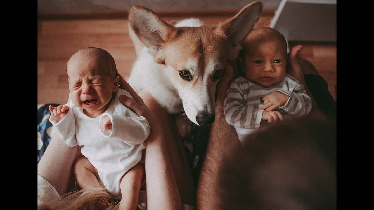 Отзывы. Детский и семейный фотограф в Красноярске Настя Ярош