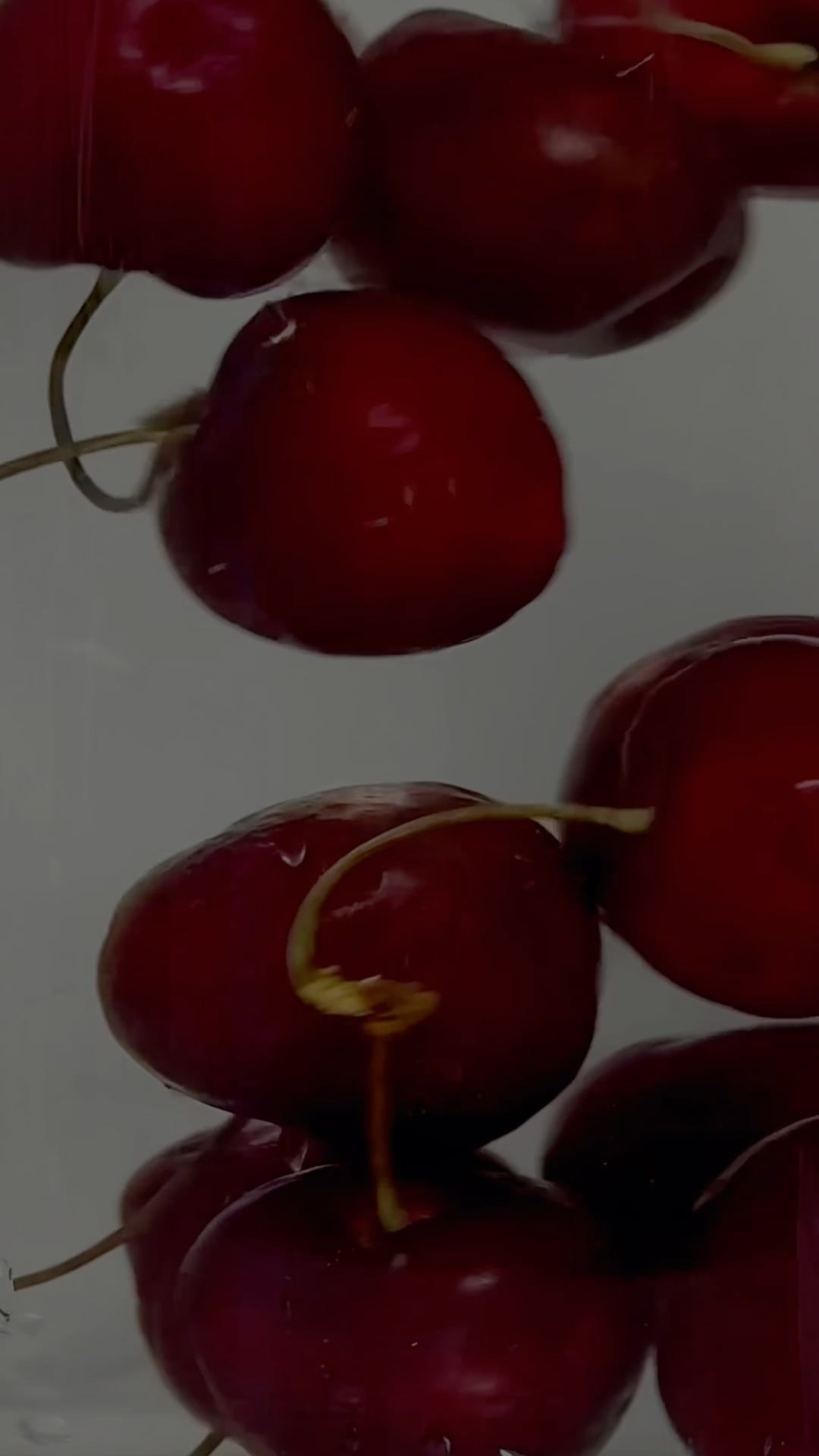 Видео. Фотограф Катерина Ивашова