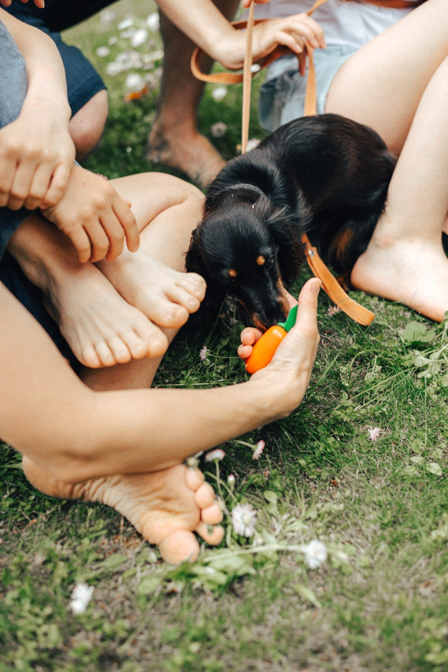 Коля, Ксюша, Саша, Андрей, Кира и бабушки | на даче