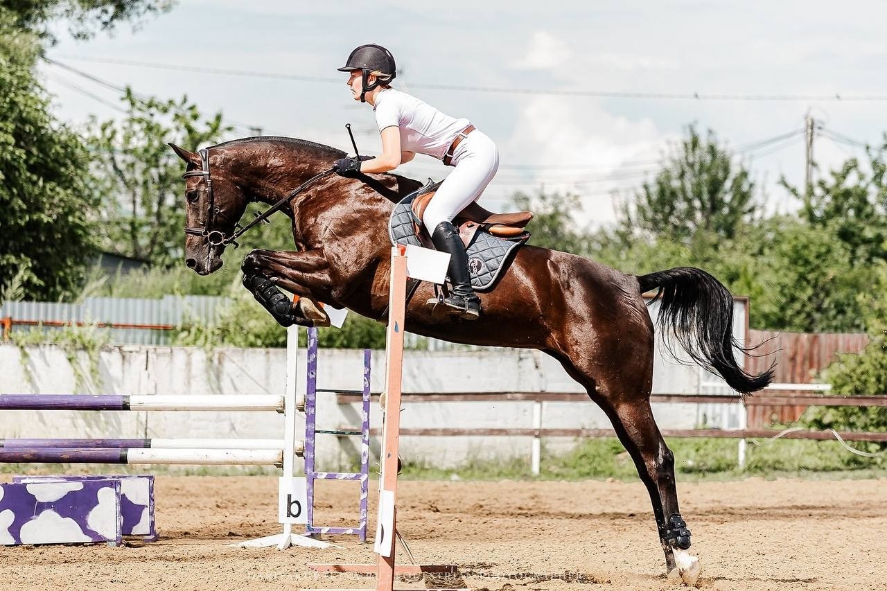 КОНКУР в КСК «Black Horse», 2 этап. Конный фотограф Куракина Дарья • Фотосессии с лошадьми