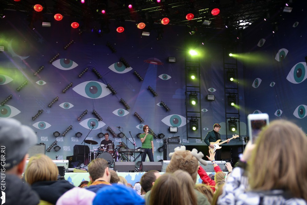 Фестиваль Дикая Мята. Репортажный и интерьерный фотограф Александра Солдатова