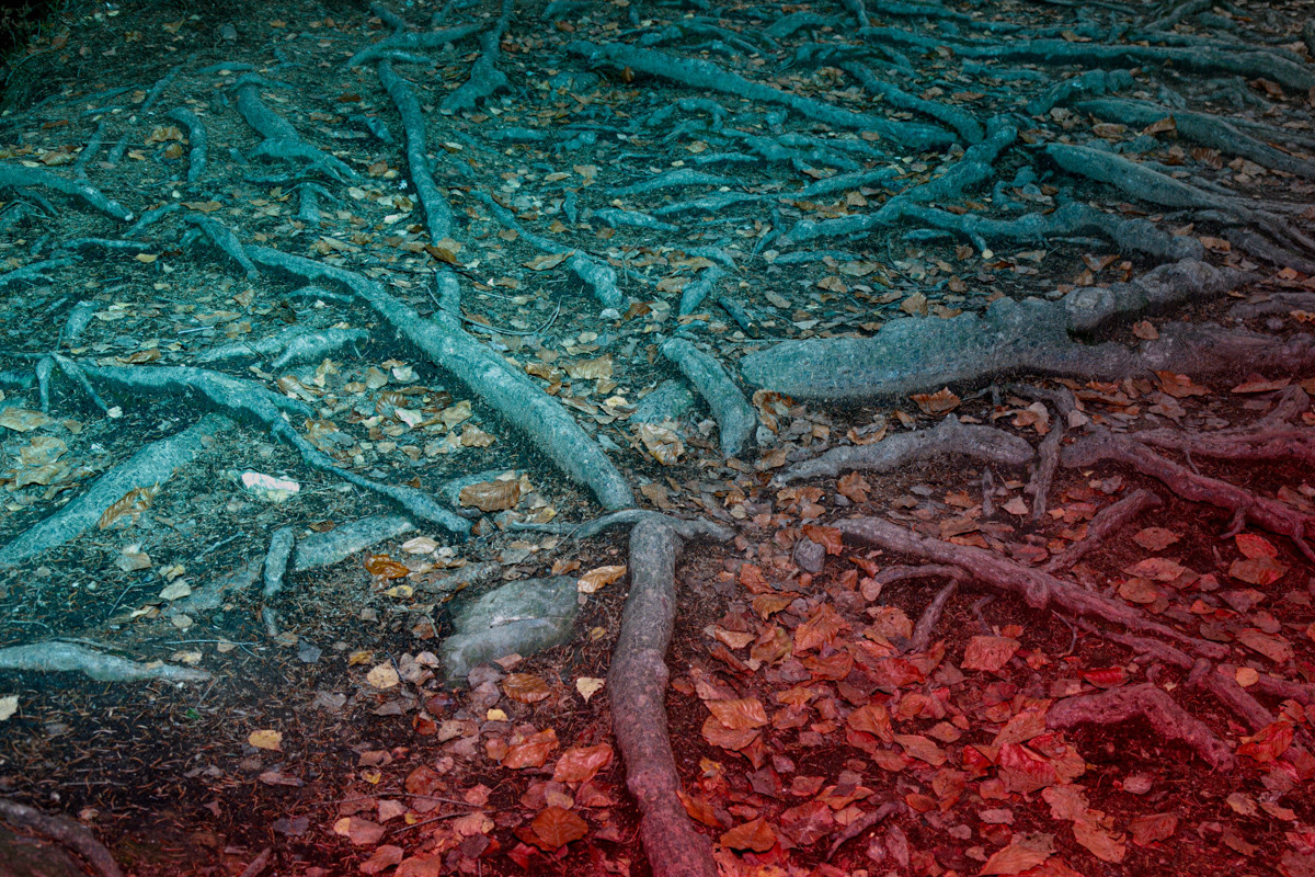 Luna. Photographer, Documentary and Art