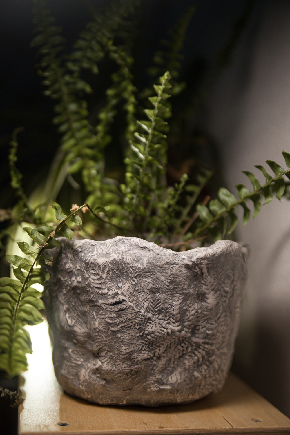 Кашпо «Папоротники» НЕТ В НАЛИЧИИ. Катя Цвет