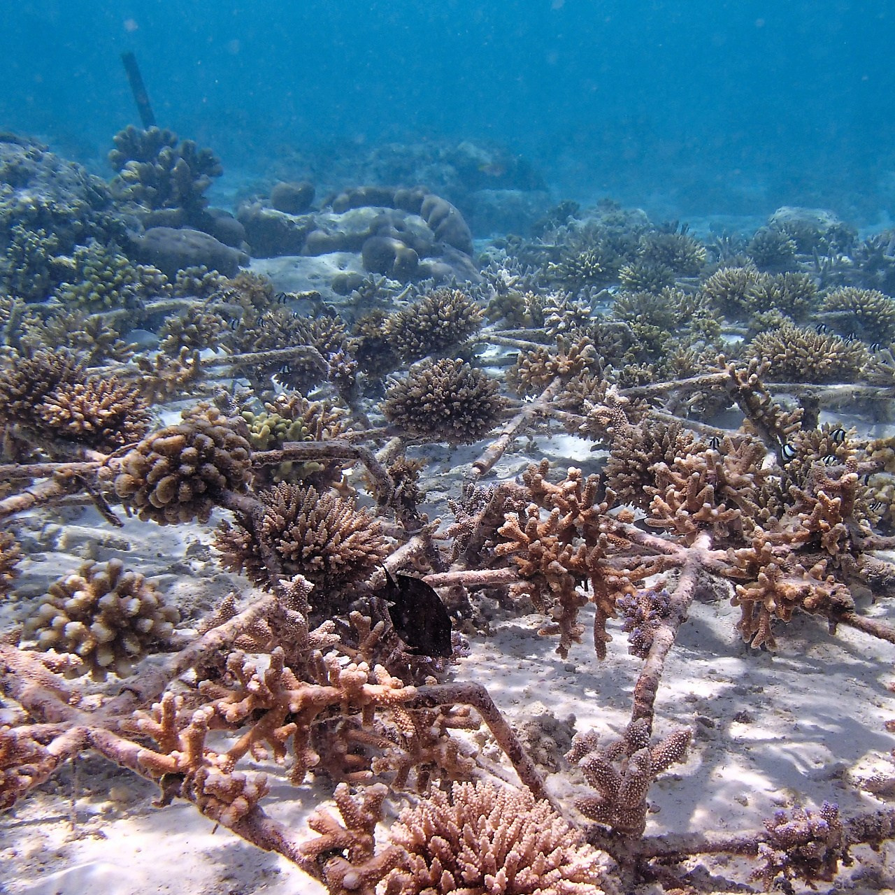 Мне посмотреть. Рыбов показываю