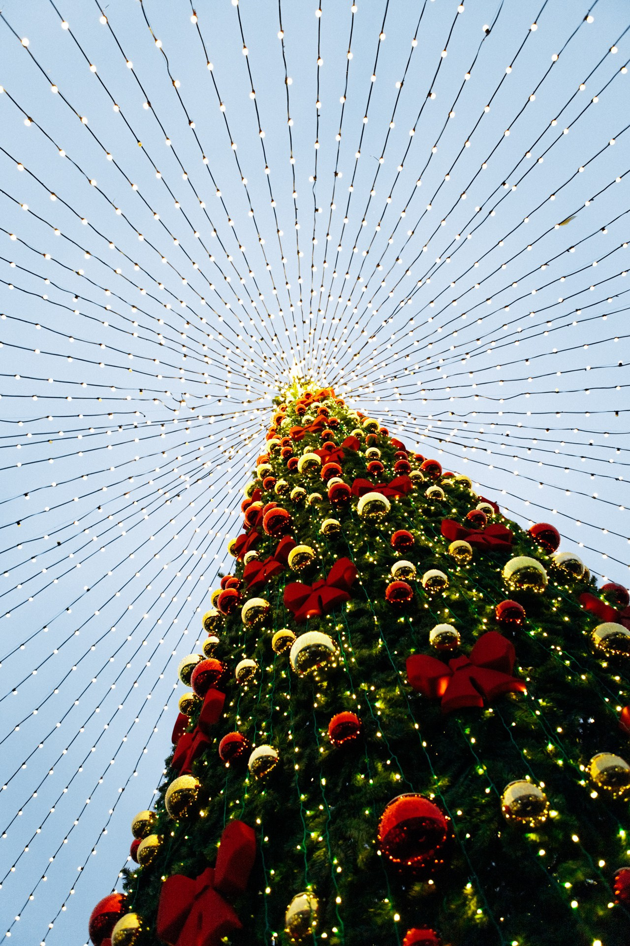 Московские сезоны. Фотограф Владимир Молоканов