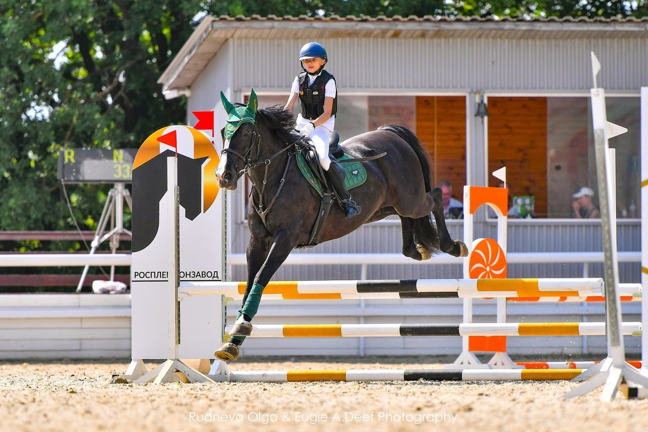 Отзывы. ТУРНИРНАЯ КОННАЯ ФОТОГРАФИЯ, Руднева Ольга и Евгений Адеев
