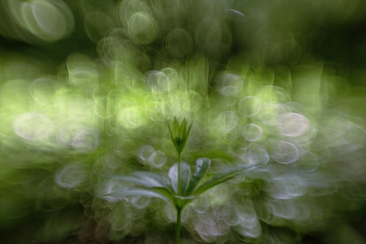 Пейзажи России. Пейзажный & Timelapse фотограф Роман Любимский