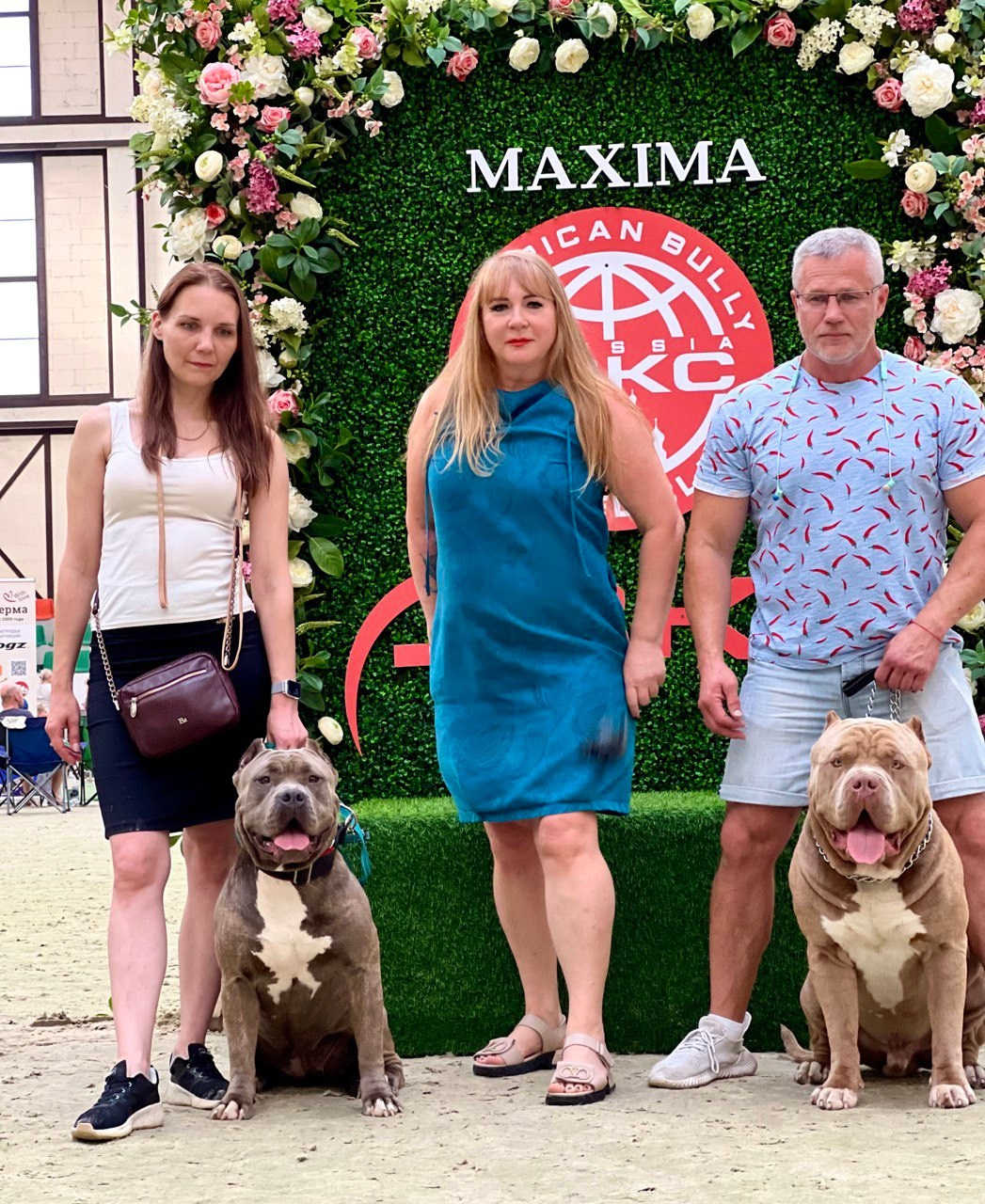 American Bully Merle XL Puppy	in Szczecin, American Bully puppy marble color XL	in Szczecin, American Bully puppy with different eyes XL	in Szczecin, American bully puppy multicolored XL	in Szczecin, American bully puppy marble color XL	in Szczecin, Buy an American Bully XL puppy	in Tashkent, American bully puppy	in Tashkent, American bully to buy a puppy	in Tashkent, 