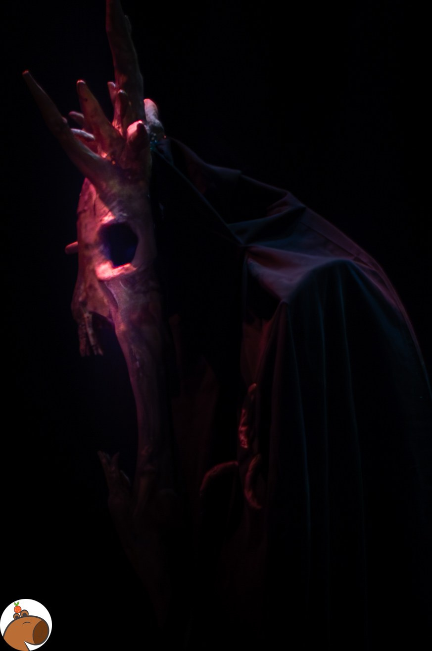 5 ночей с Капибарой. Уголок Капибарки