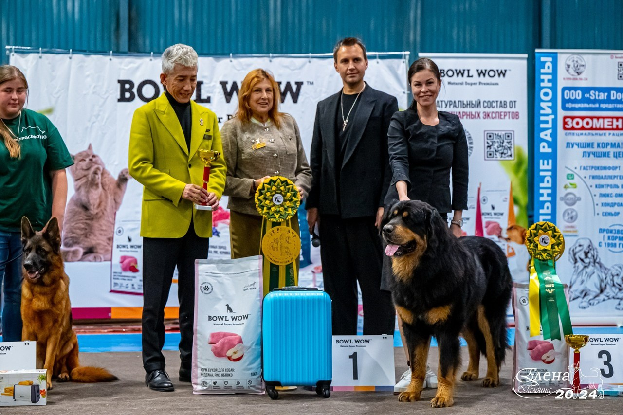 Отзывы. Фотограф анималист Елена Галдина г. Красноярск