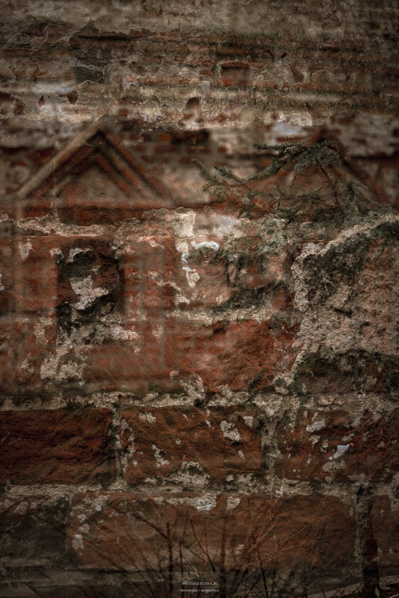 Прогулка по Москве. Авторские стильные фотокартины