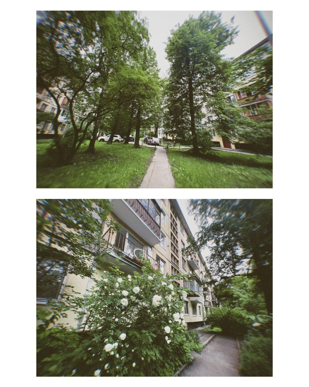 Saint-Petersburg. Alina Panover