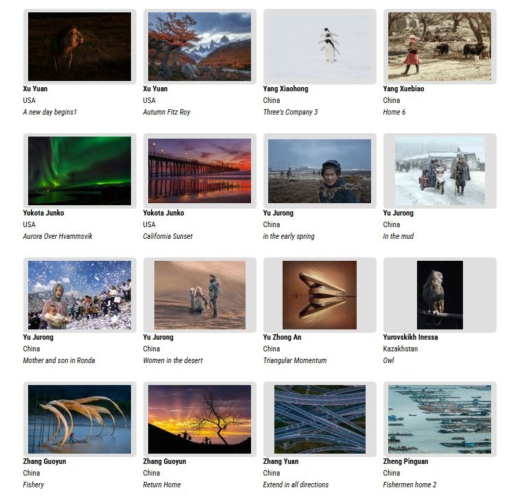 Выставки. Семейный и детский фотограф в Алматы Юровских Инесса