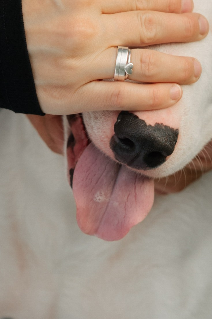 Выходной. Свадебный и семейный фотограф Юлия Сафронова
