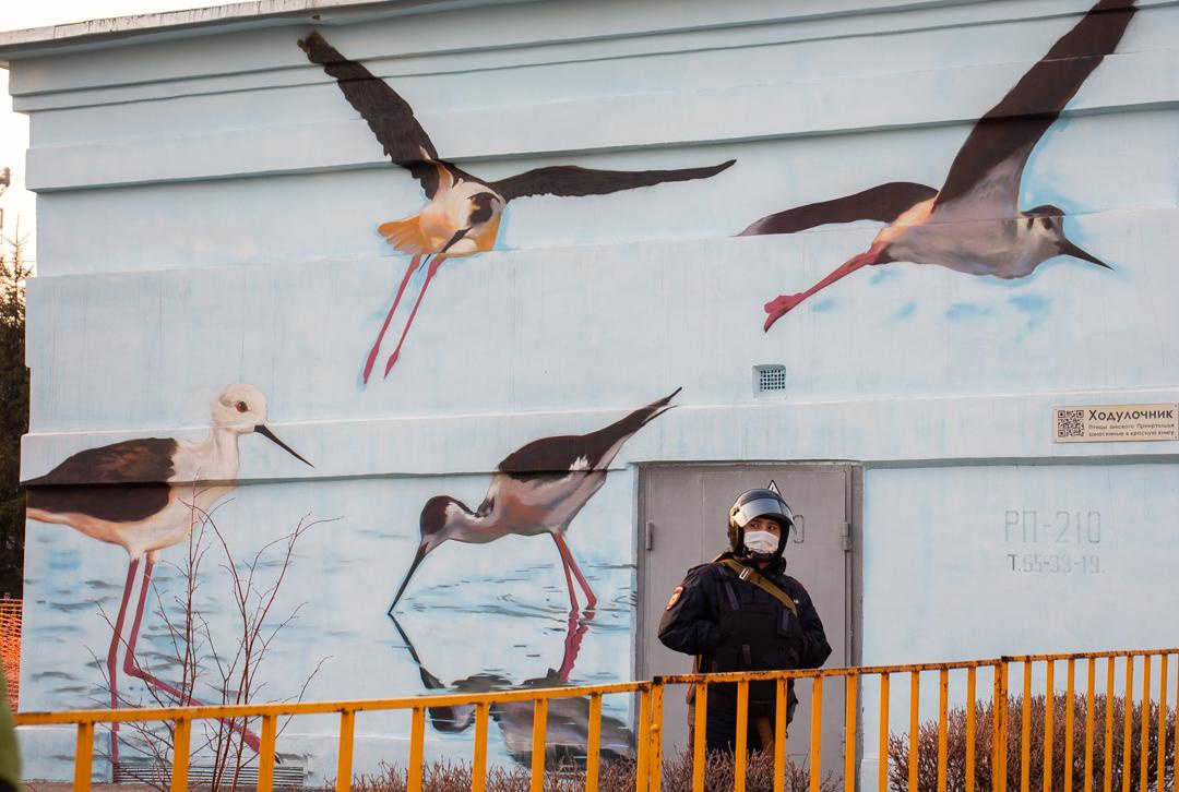 Репортаж для NGS55