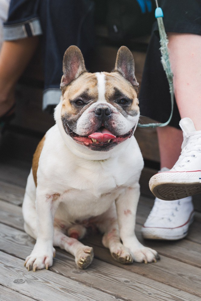 16 июня 2019 на Стрелке / фото Иван Гущин. Фотоотчеты «Ламбада-маркета»