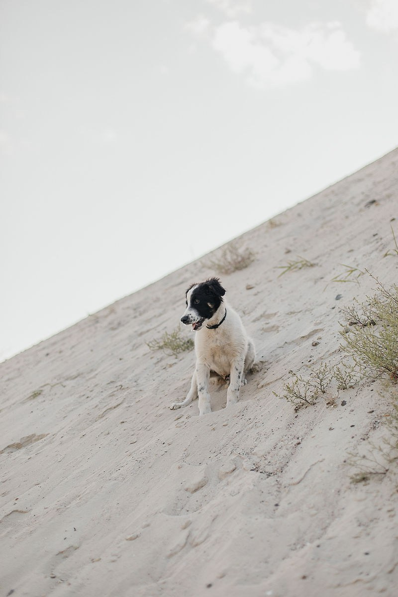 Оксана и Александр