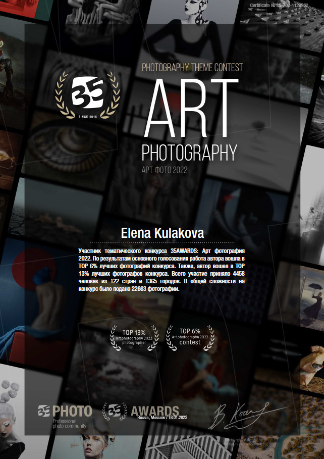 Мои достижения. Файн Арт фотограф в Ижевске Елена Кулакова