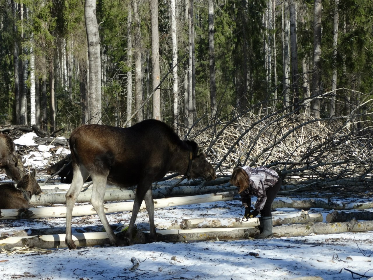 Кострома | 21-22.03.2015. Галерея Фантим