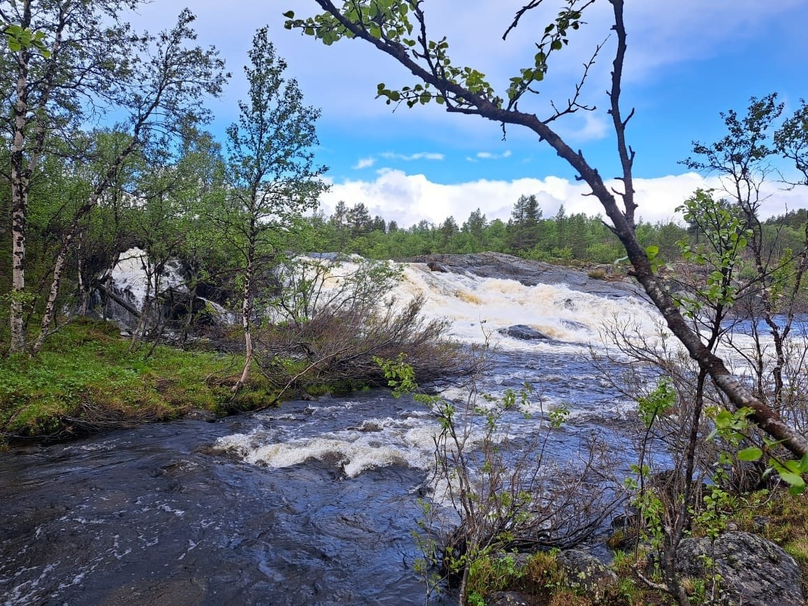 Мурманск | 20-22.06.2025. Галерея Фантим