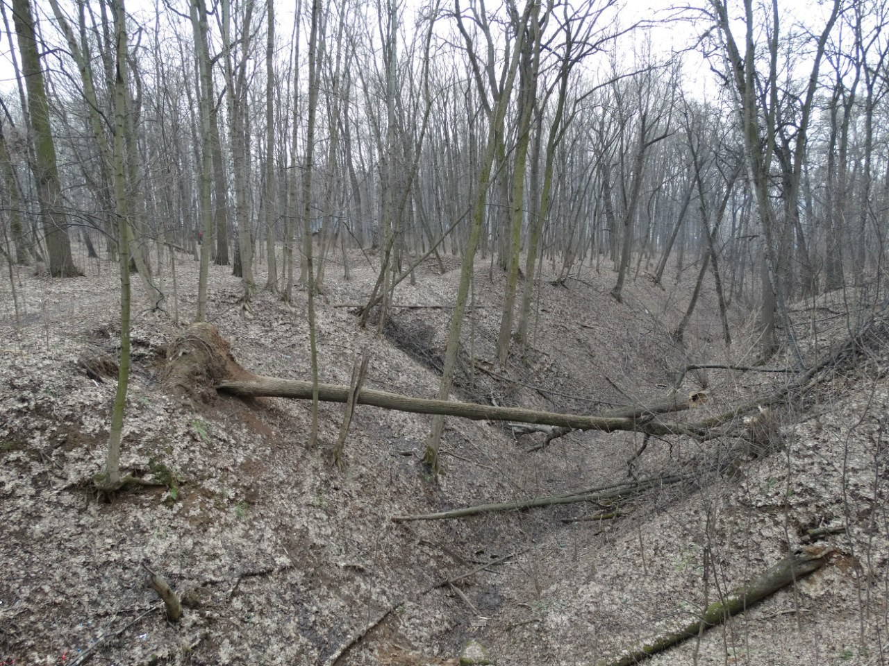 Середниково — Piligrim Porto — Братцево — Сходненская чаша | 09.04.2016. Галерея Фантим