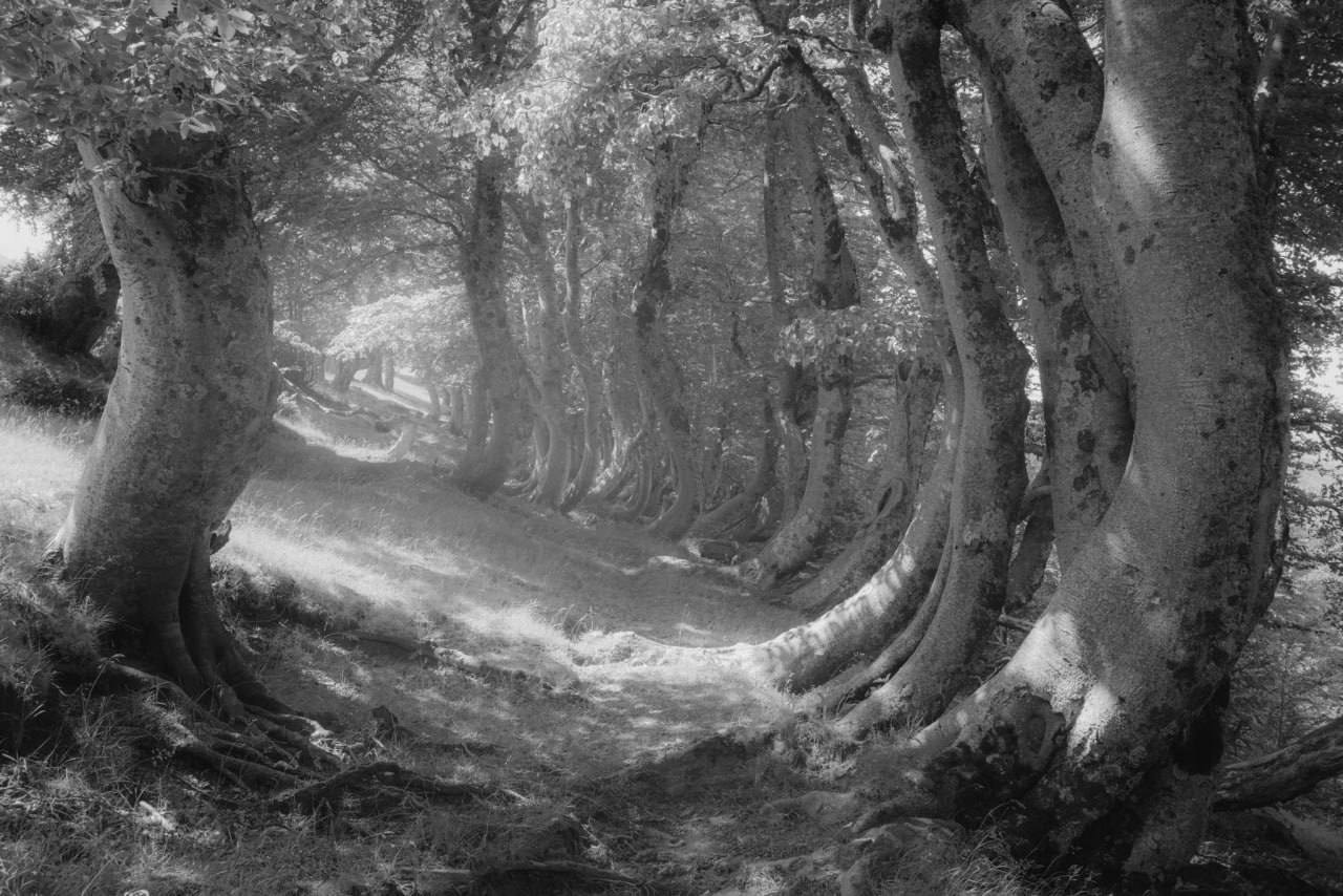 Фотопроект «ФЭТ: Фотография, Эстетика, Творчество»