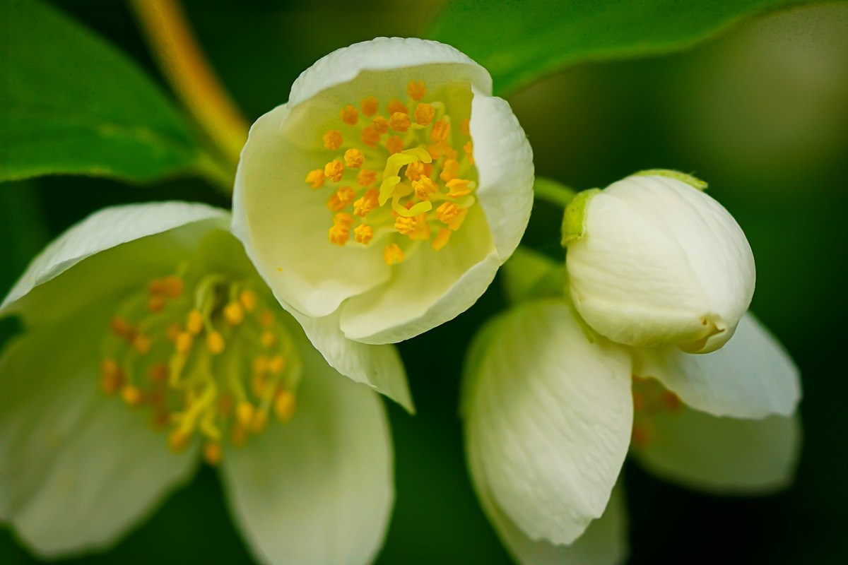Макро. ZAGLADIN Bureau