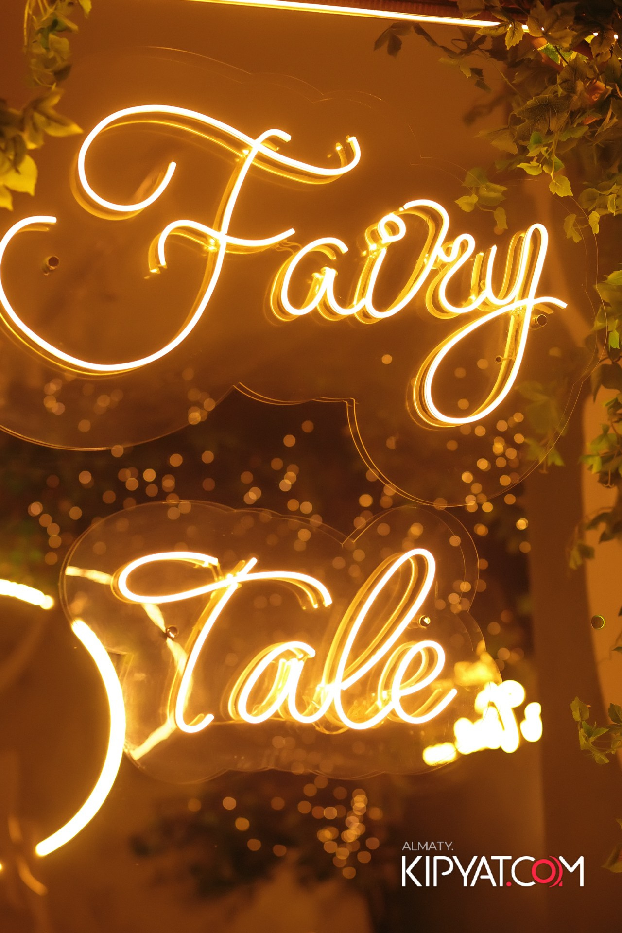 УХО И МЕДВЕДЬ НА САИНА. КИПЯТКОМ АЛМАТЫ!