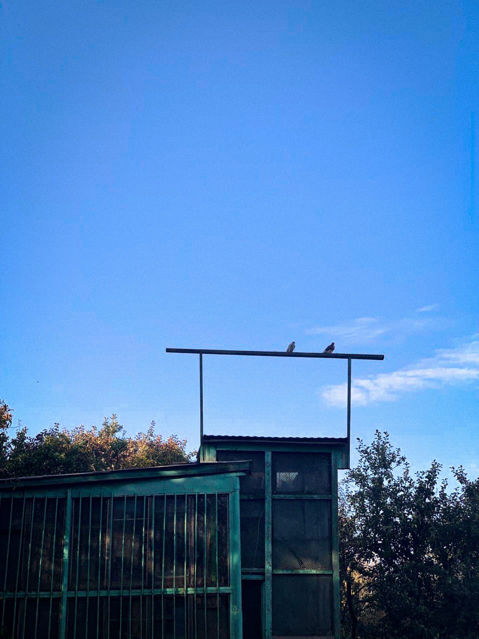 Автор: Маргарита Корсак