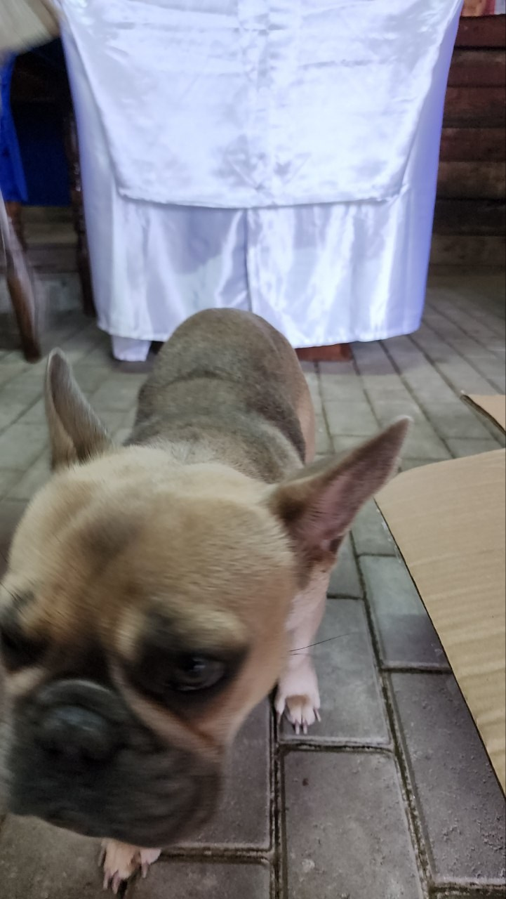 Литургия в Горячем Ключе (2024-09-21). Собор Отрасли