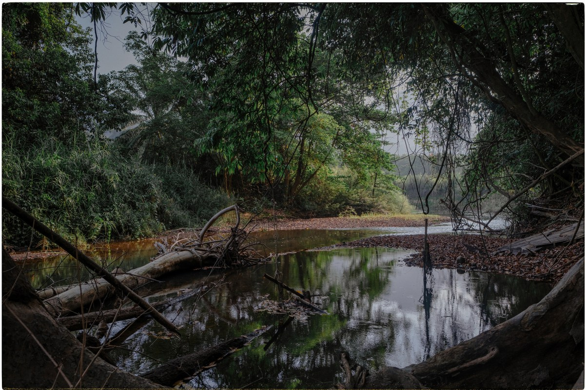 Таиланд. Портретный и репортажный фотограф в Санкт-Петербурге Дарья Сибирякова