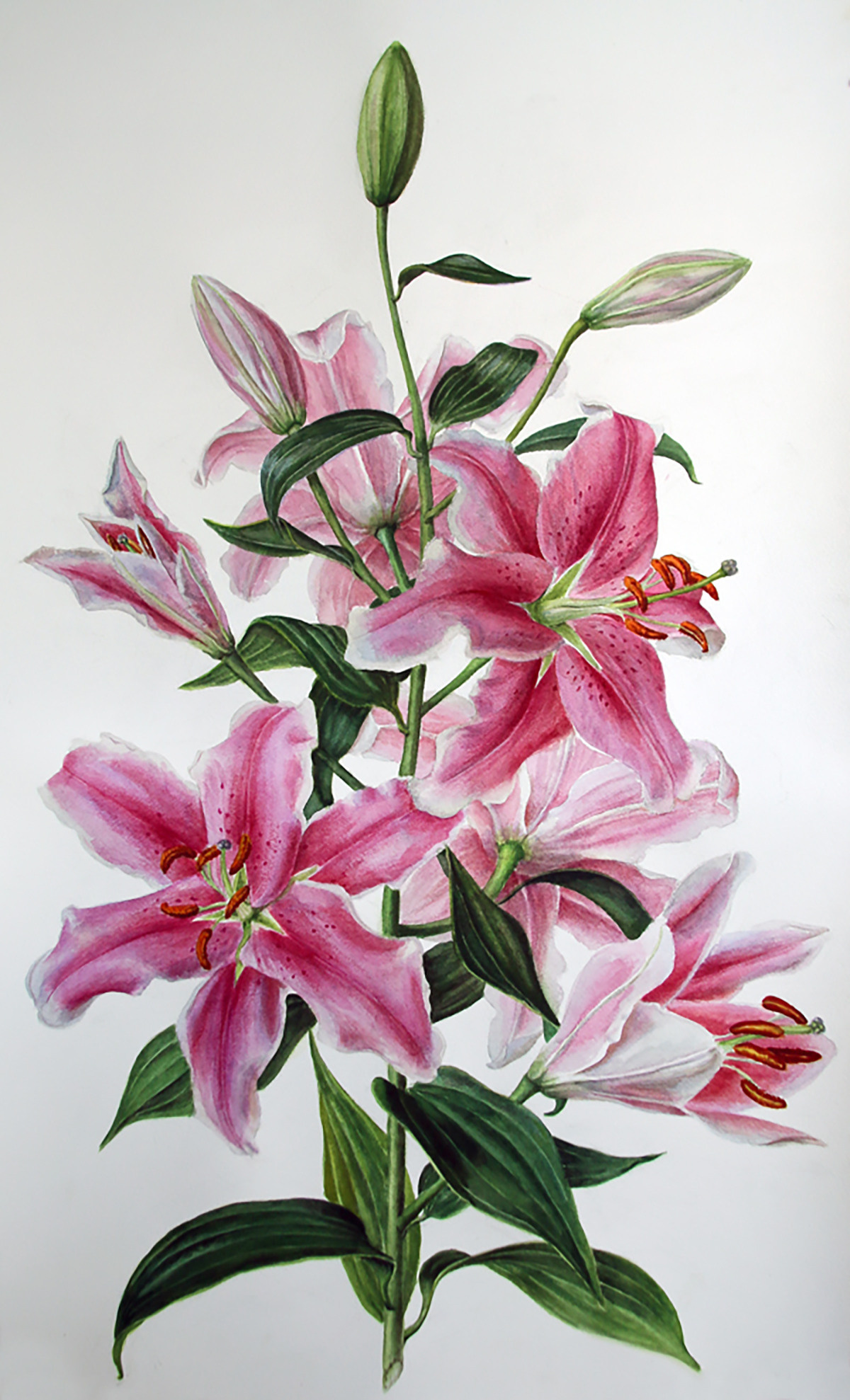 ЦВЕТЫ. Елена Опалева — художница. Москва