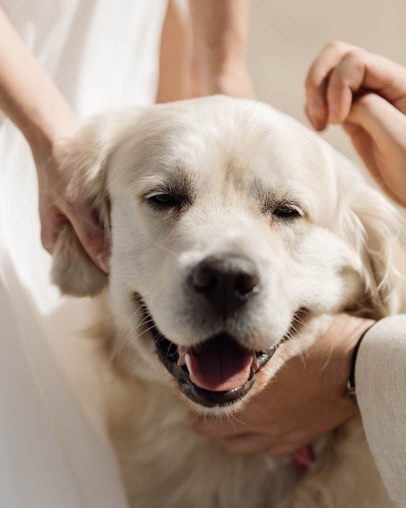 Любовь и ветер. Владимир Киселев — свадебный фотограф в Саратове, Москве и по всему миру