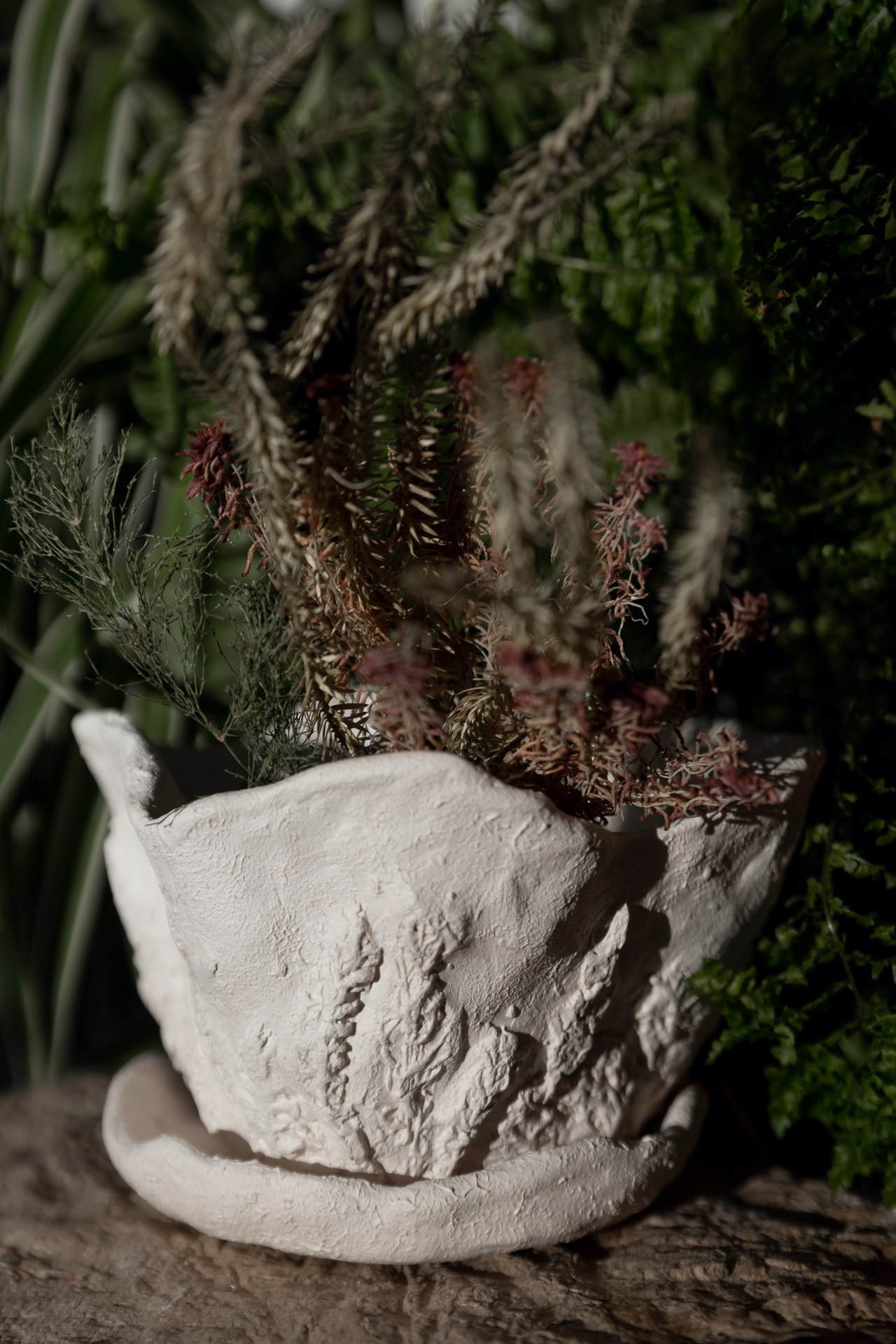 Горшок «Мхи и лишайники» 1700 р. Катя Цвет