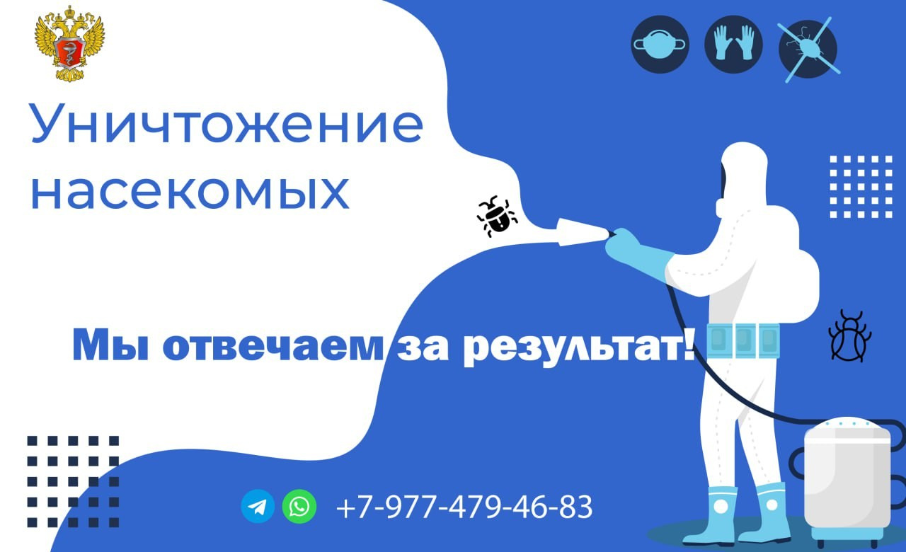 Графический дизайн. Силантьева Наталья фотограф