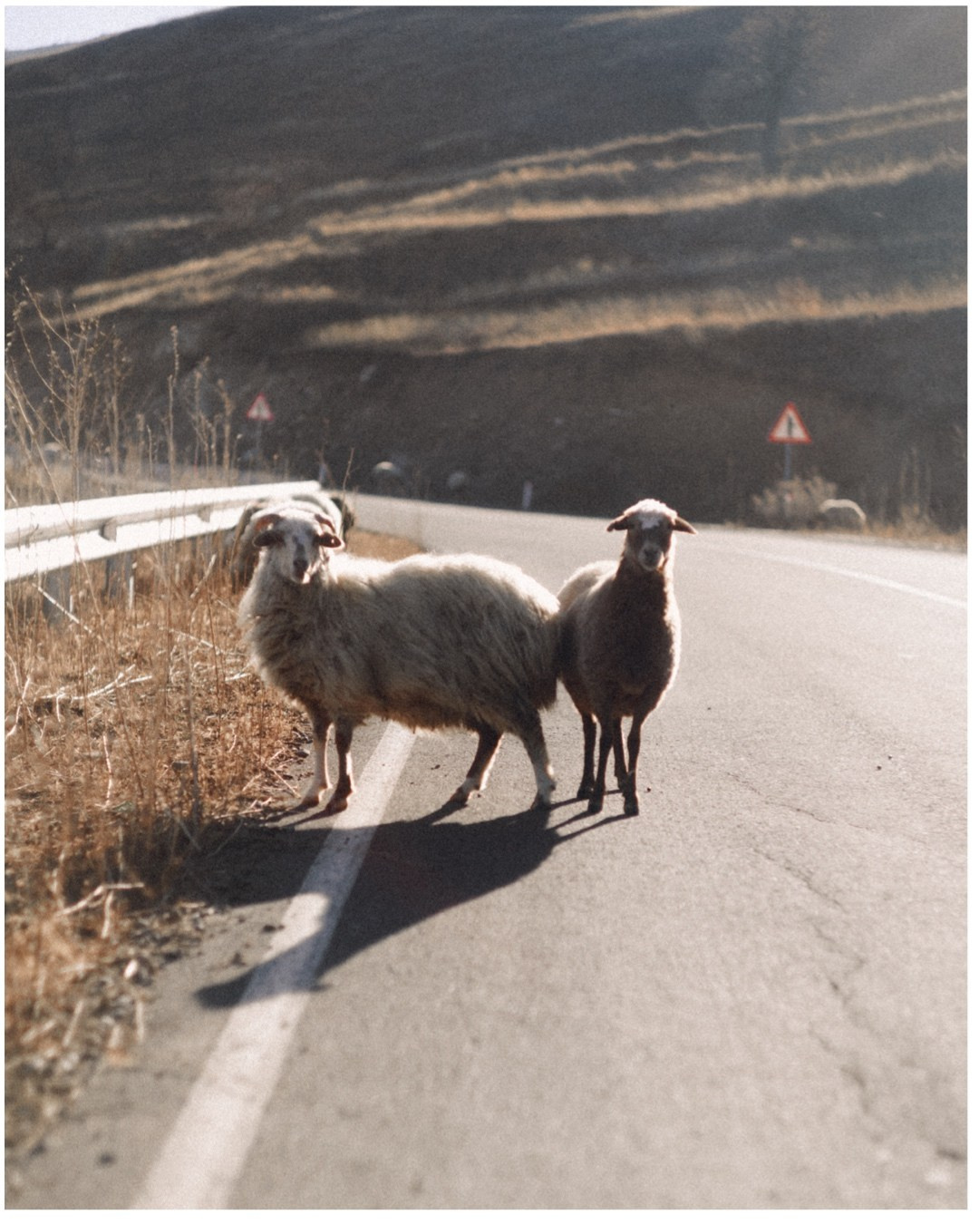 Дагестан. Фотосъёмка для компании по организации туров