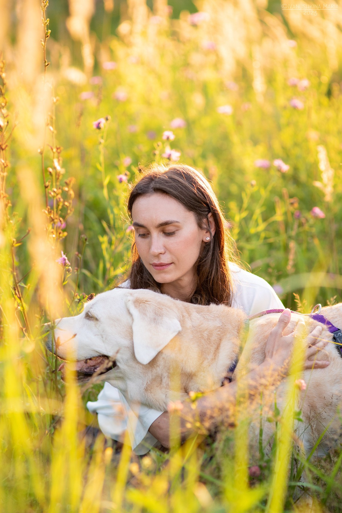 Фотосессия с собакой. Фотограф собак в Москве и Московской области Иванушкина Мария