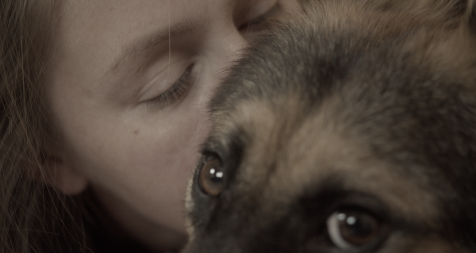 DISGRACE (2022). ALEXEI RODIONOV