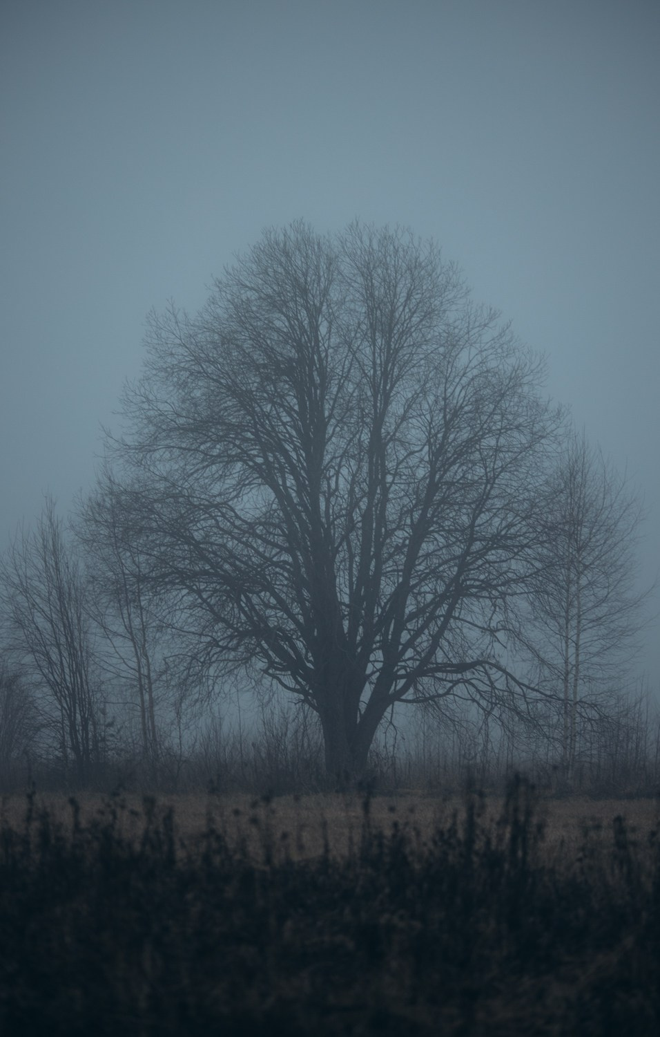 Природные пейзажи. Наталия Клевинскас портретный фотограф в Костроме