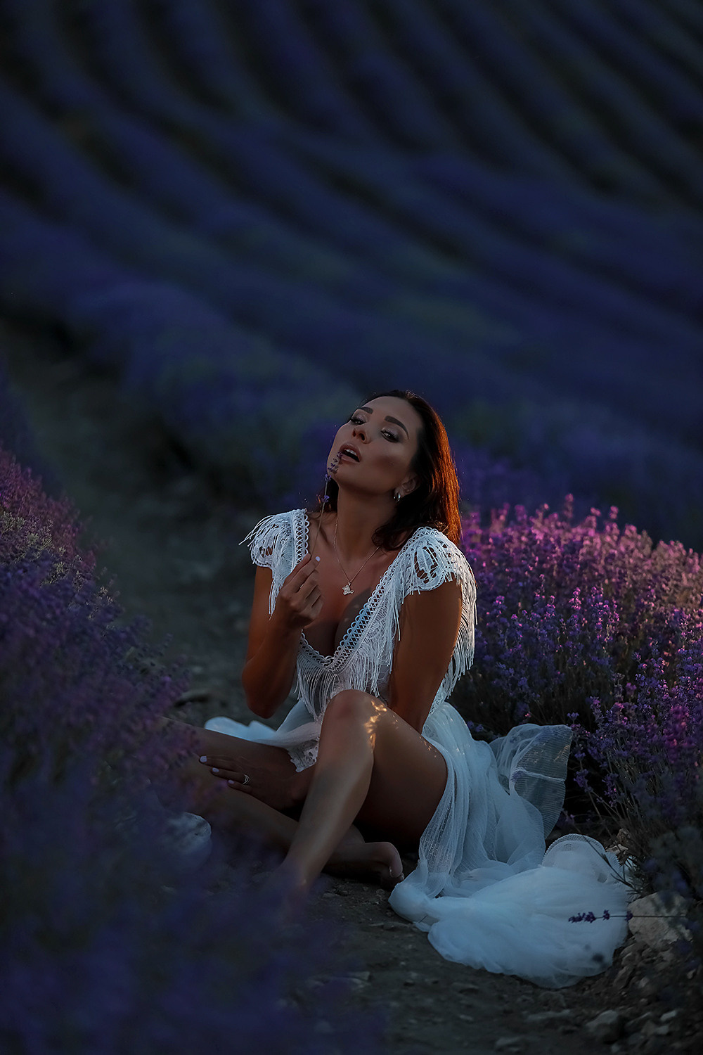 Лаванда после заката. Фотограф в Крыму Дзгоева Ксения