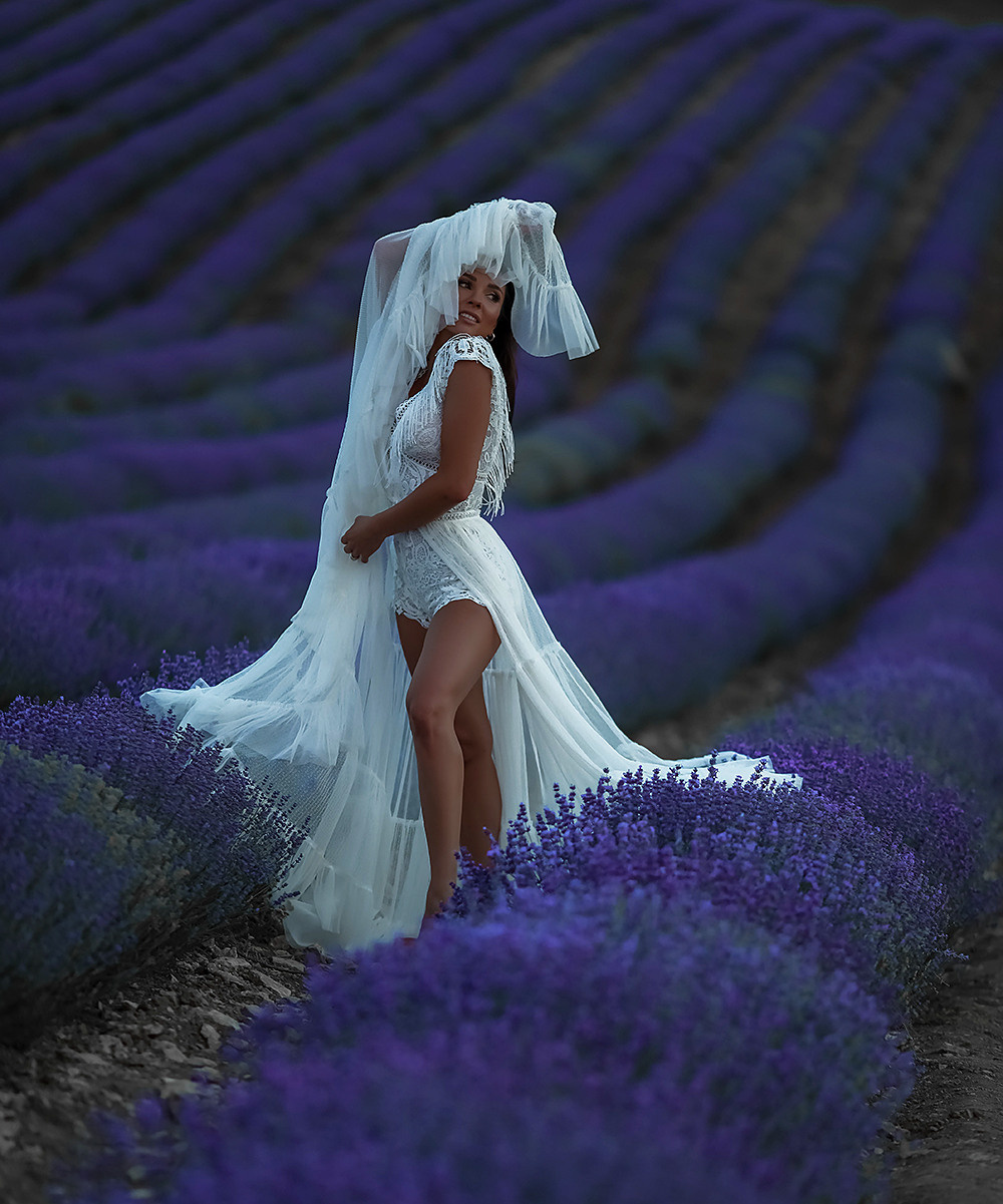 Лаванда после заката. Фотограф в Крыму Дзгоева Ксения