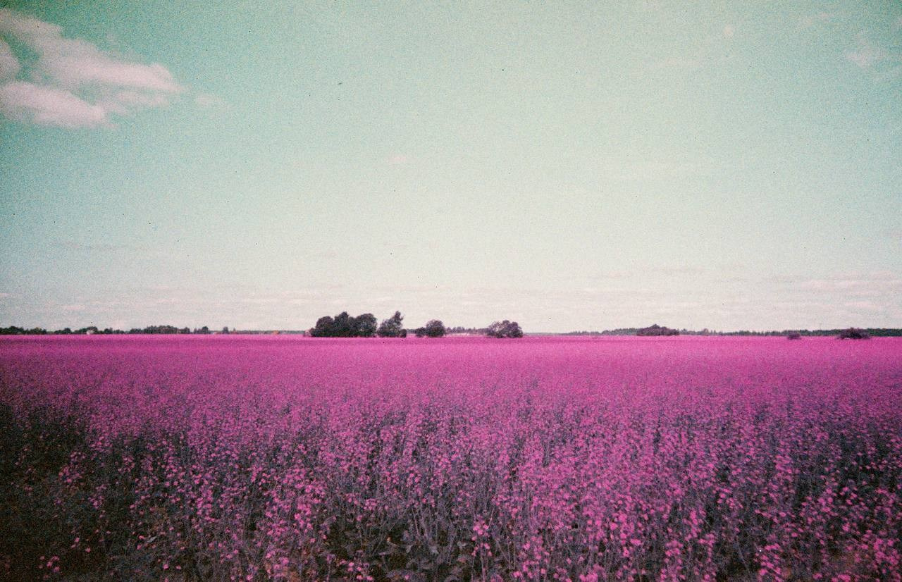 Places. TATIANA DARINA — film photographer in St. Petersburg