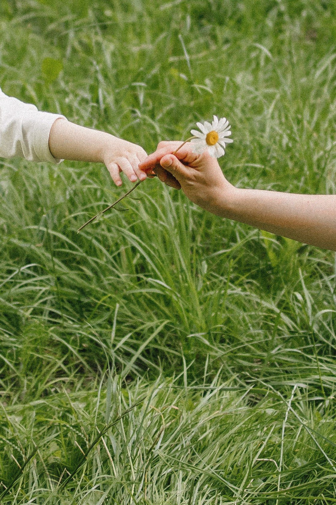 Ольга и Рома. Свадебный фотограф Москва Воронеж Ленкова Ксения