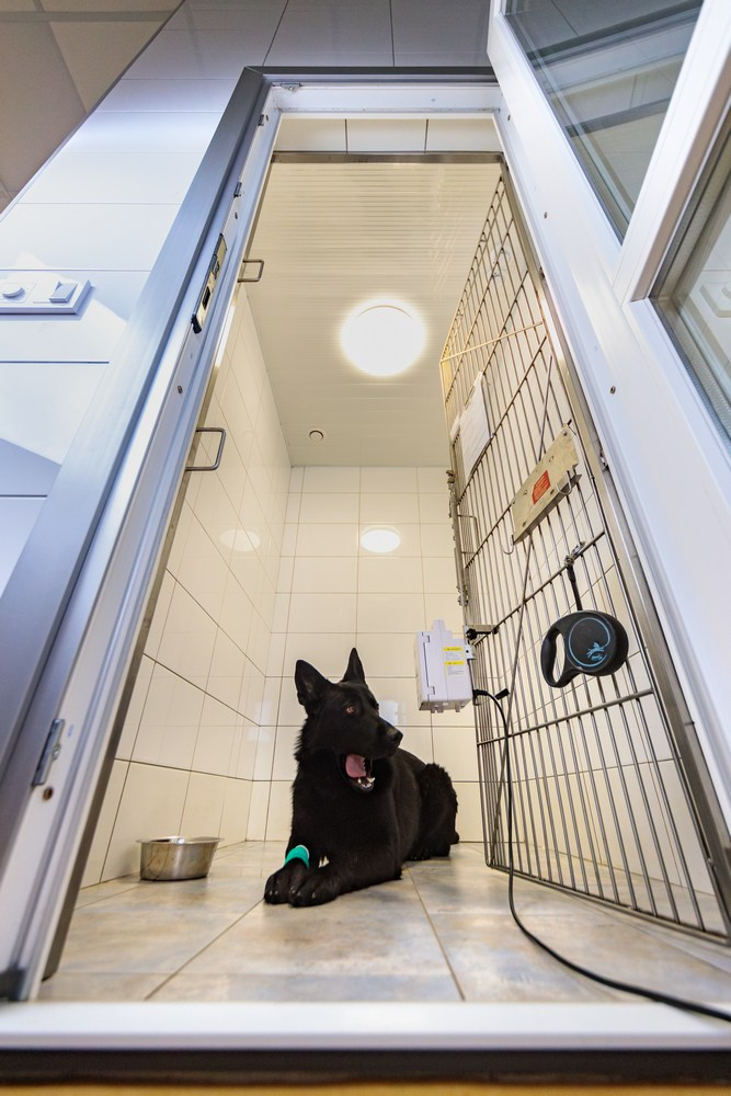 Бизнес фотосессия для ветеринарной клиники Казань. Промышленный фотограф | Фото для бизнеса | Казань и РФ