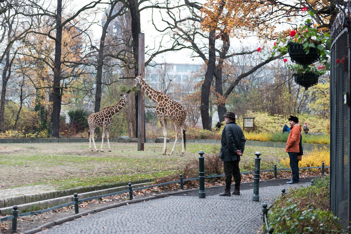 2014 — Берлин. Событийный и тревел фотограф в Москве и по всему миру Мария Салахутдинова