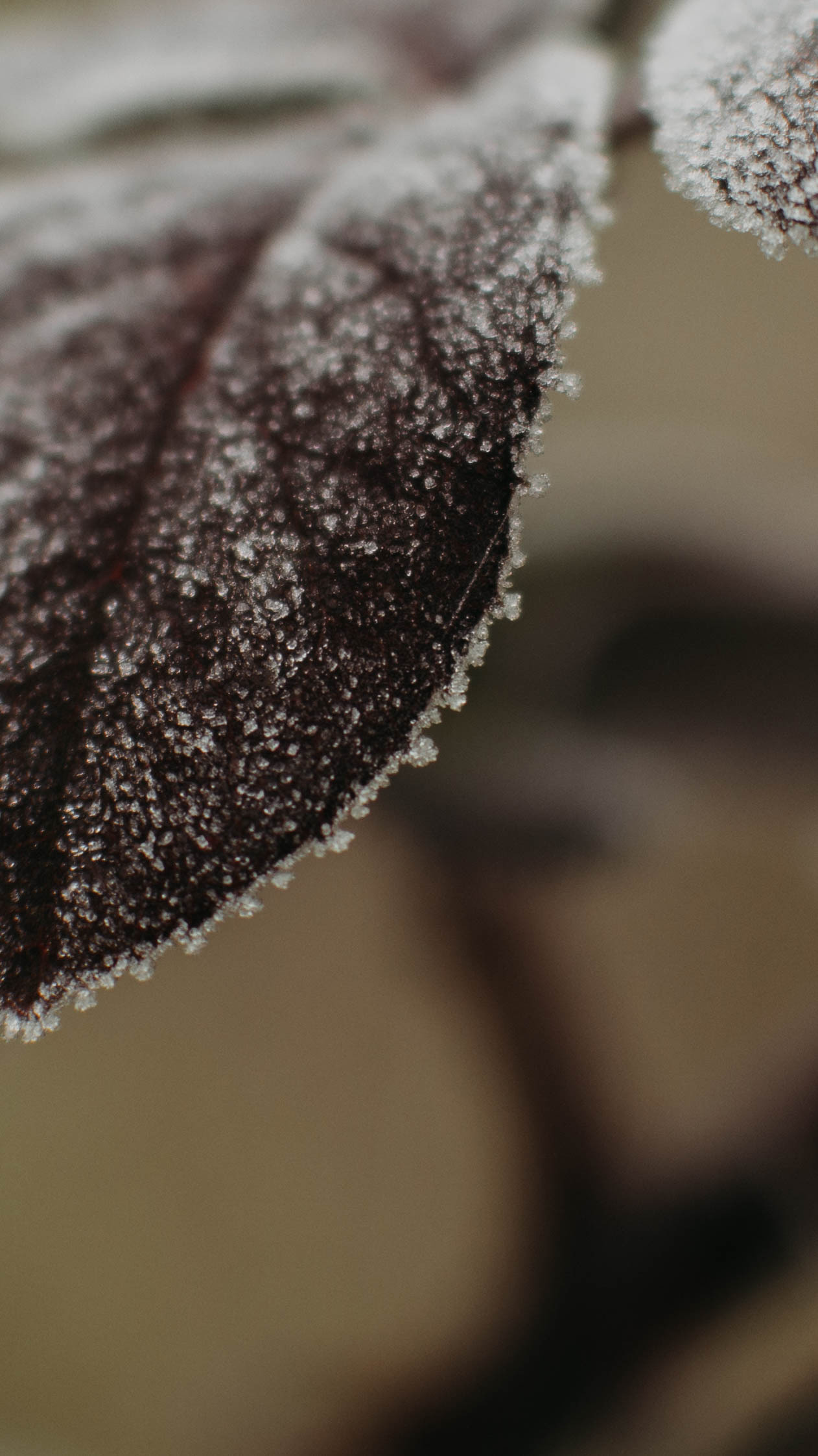 Обои на телефон. Семейный и детский фотограф в Москве