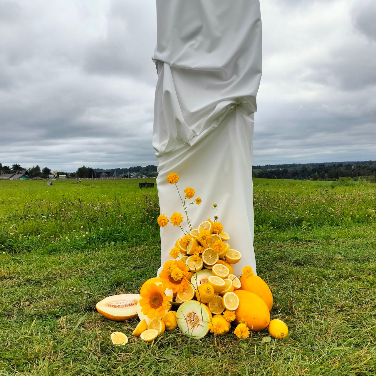 цветы на заказ. цветы. флорист дизайнер. клиентский сервис. головинский район. сао. флорист ховрино. флорист головинскийрайон. флорист клин. оформление цветами. цветочное оформление. оформление живыми цветами. современная флористика. камерная свадьба. большая свадьба. флорист на свадьбу москва. декоратор на свадьбу. концепция свадьбы. ручная работа. маленькая свадьба. бюджетная свадьба. дорогая свадьба. работа на заказ. живые цветы. украшение живыми цветами
