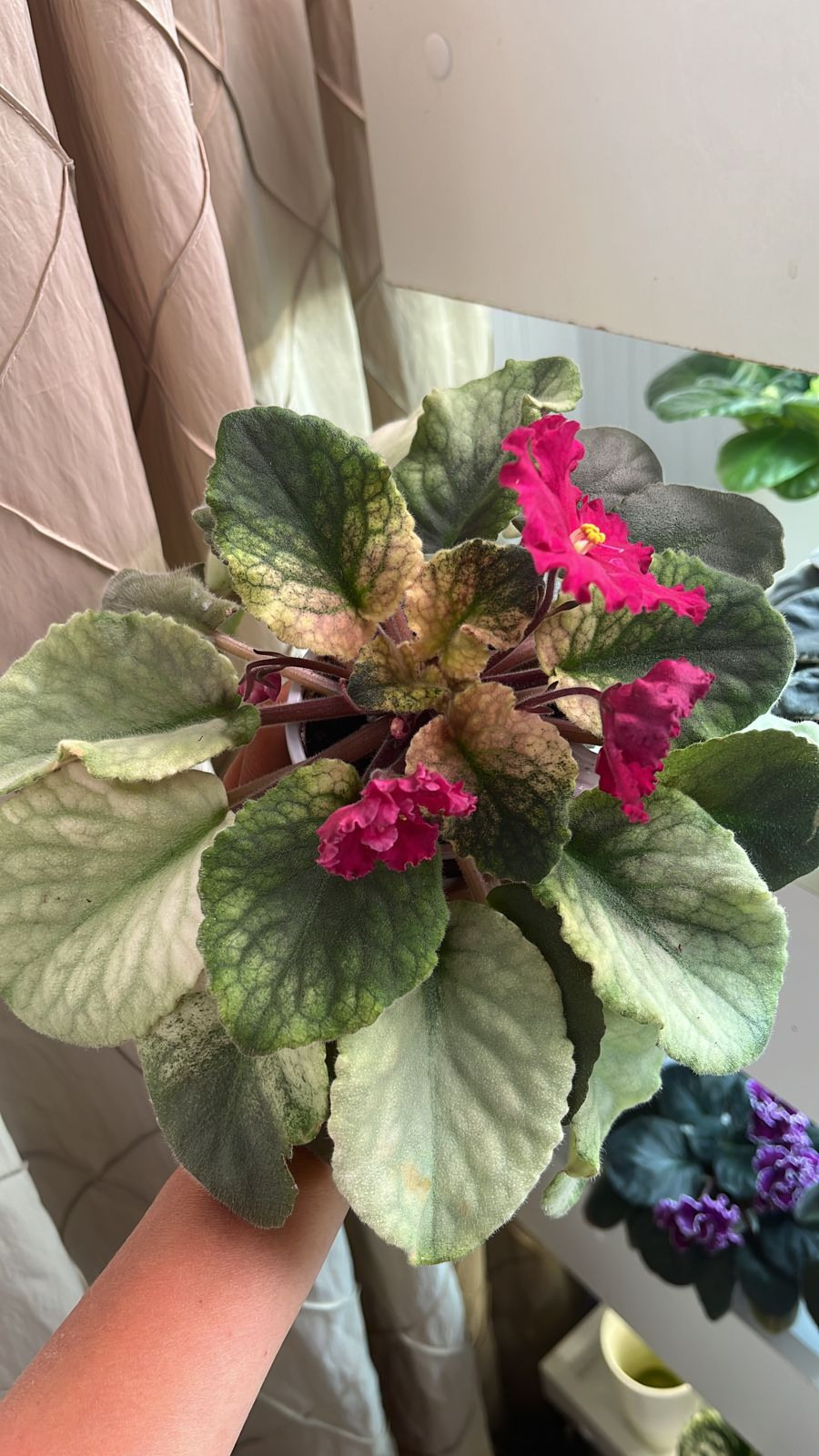 ЕК Марсианка