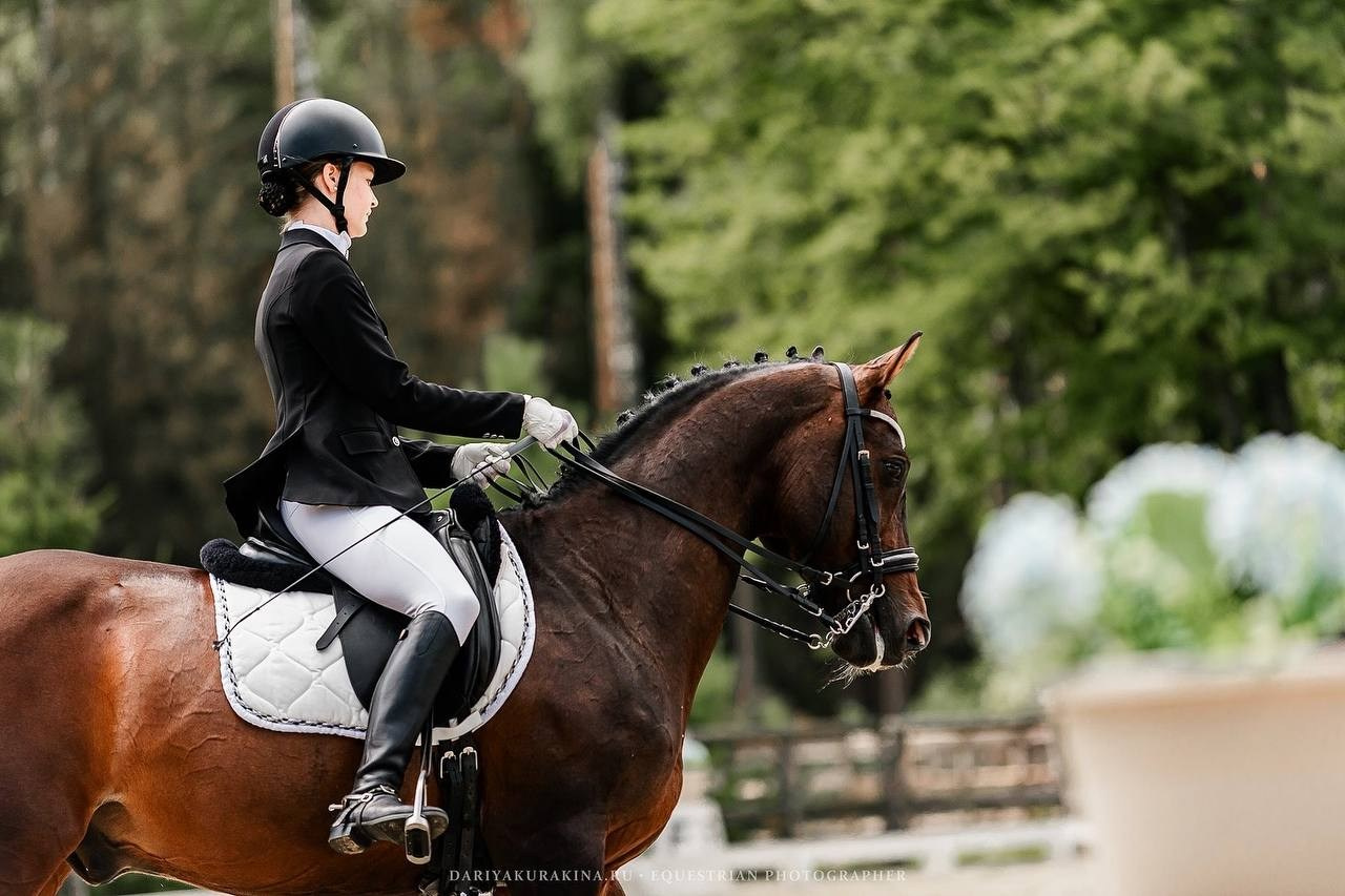Третий этап КУБКА КСК «АЛМАЗОВО» по ВЫЕЗДКЕ. Конный фотограф Куракина Дарья • Фотосессии с лошадьми